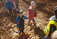 Eksperymenty i jesienne obserwacje przyrody