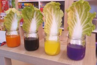 Eksperymenty i jesienne obserwacje przyrody