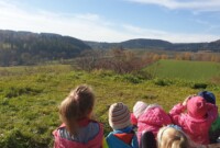 Eksperymenty i jesienne obserwacje przyrody