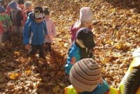 Eksperymenty i jesienne obserwacje przyrody