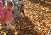 Eksperymenty i jesienne obserwacje przyrody