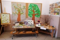 Światowy Dzień Drzewa – wystawa „Drzewo w różnych odsłonach”