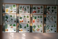 Światowy Dzień Drzewa – wystawa „Drzewo w różnych odsłonach”