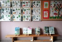 Światowy Dzień Drzewa – wystawa „Drzewo w różnych odsłonach”