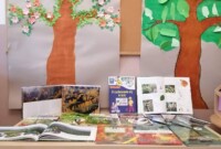 Światowy Dzień Drzewa – wystawa „Drzewo w różnych odsłonach”