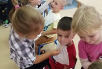 Dzień Chłopaka u Poziomek