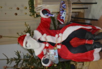 Mikołaj u Muchomorków