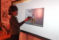 rpt Dzień Dinozaura u Malinek