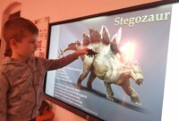 rpt Dzień Dinozaura u Malinek