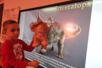 rpt Dzień Dinozaura u Malinek