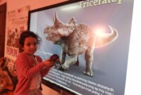 rpt Dzień Dinozaura u Malinek