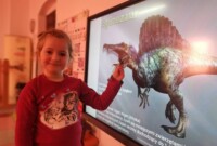 rpt Dzień Dinozaura u Malinek
