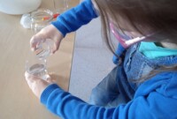 Dzień Wody u Jarzębinek