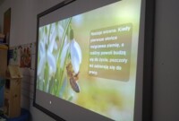 Światowy Dzień Pszczół