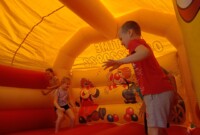 Przyjaciele Zippiego