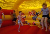 Przyjaciele Zippiego