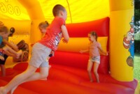 Przyjaciele Zippiego