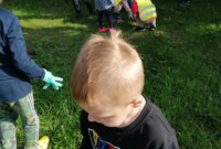 Bławatki sprzątają