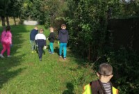 Bławatki sprzątają