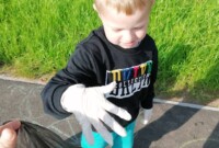 Bławatki sprzątają