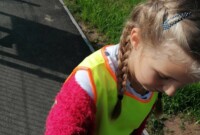 Bławatki sprzątają