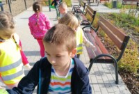 Bławatki sprzątają