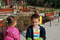 Bławatki sprzątają