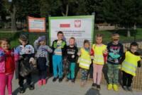 Bławatki sprzątają