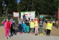 Bławatki sprzątają