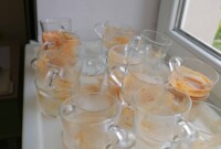 Światowy dzień jabłka