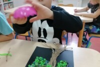 rbt Drzewa Bławatków