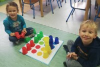 dav Stokrotki kodują