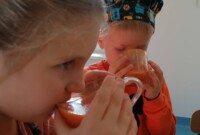 Lubimy owoce i warzywa!