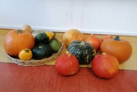 W roli głównej – dynia!