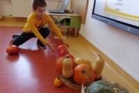 W roli głównej – dynia!