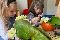 Jesienne kwiatowe kompozycje w dyni