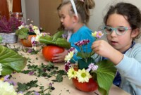 Jesienne kwiatowe kompozycje w dyni