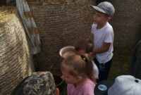 Dekoracje dożynkowe