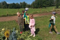 Dekoracje dożynkowe