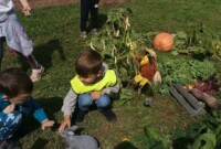 Dekoracje dożynkowe