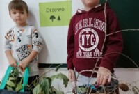 rbt Projekt „Drzewo”