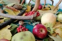 Projekt „Drzewo”