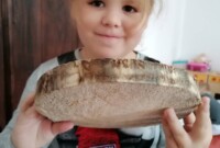 rbt Projekt „Drzewo”