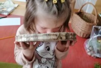 Projekt „Drzewo”