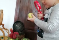 rbt Projekt „Drzewo”