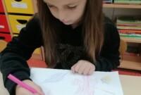 Projekt „Drzewo”