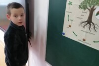 rbt Projekt „Drzewo”