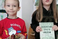 rbt Projekt „Drzewo”