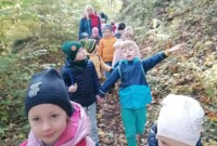 rbt Projekt „Drzewo”