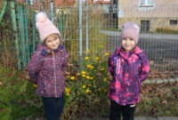 Listopadowa przechadzka